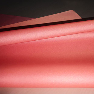 柔软涤丝纺橘色FH（中国）布