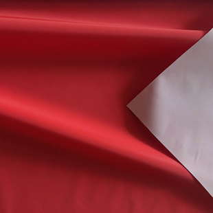 柔软尼丝纺红色FH（中国）布